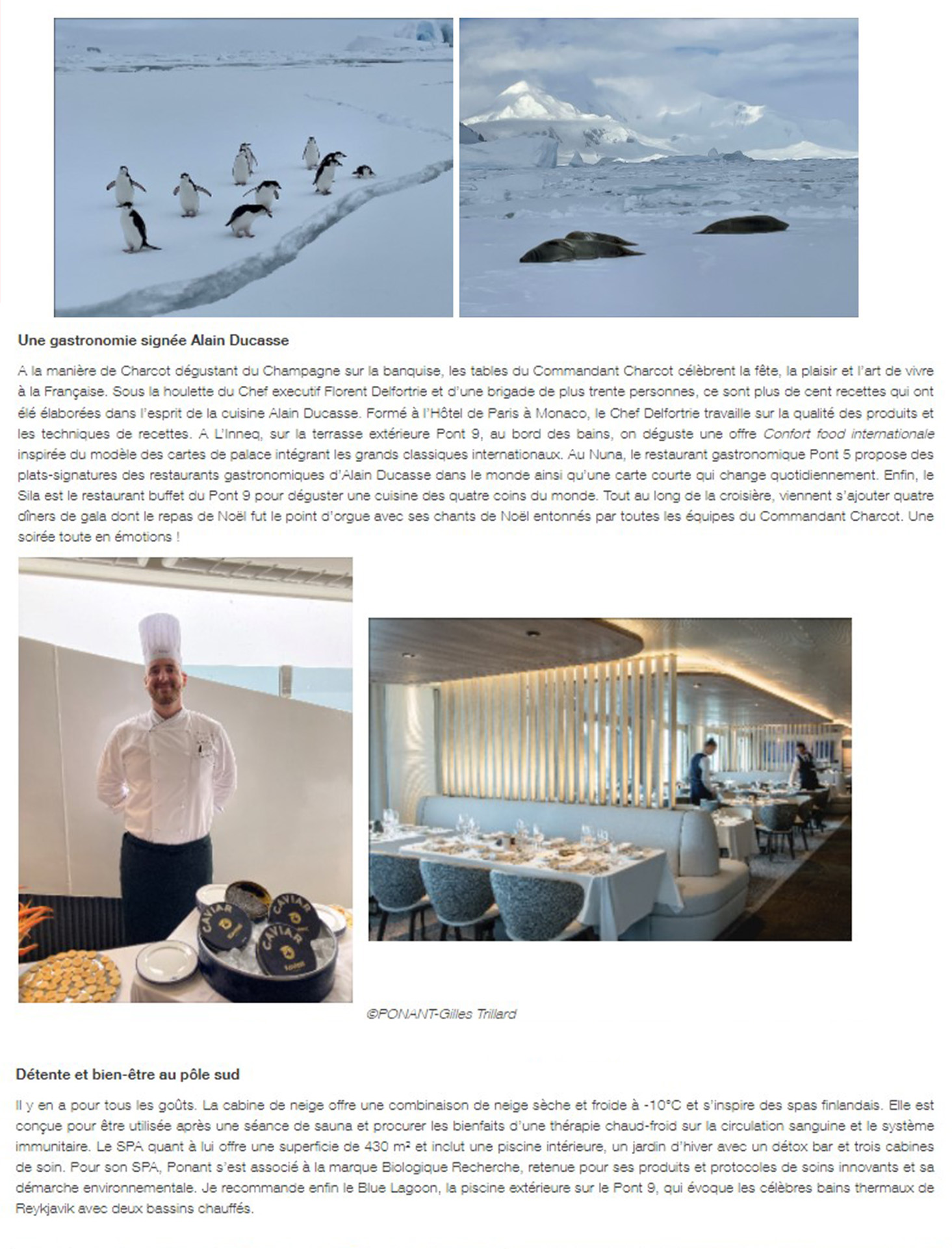 Article du webmagazine Attitude luxe sur le Commandant Charcot page 5, Une gastronomie signée Alain Ducasse