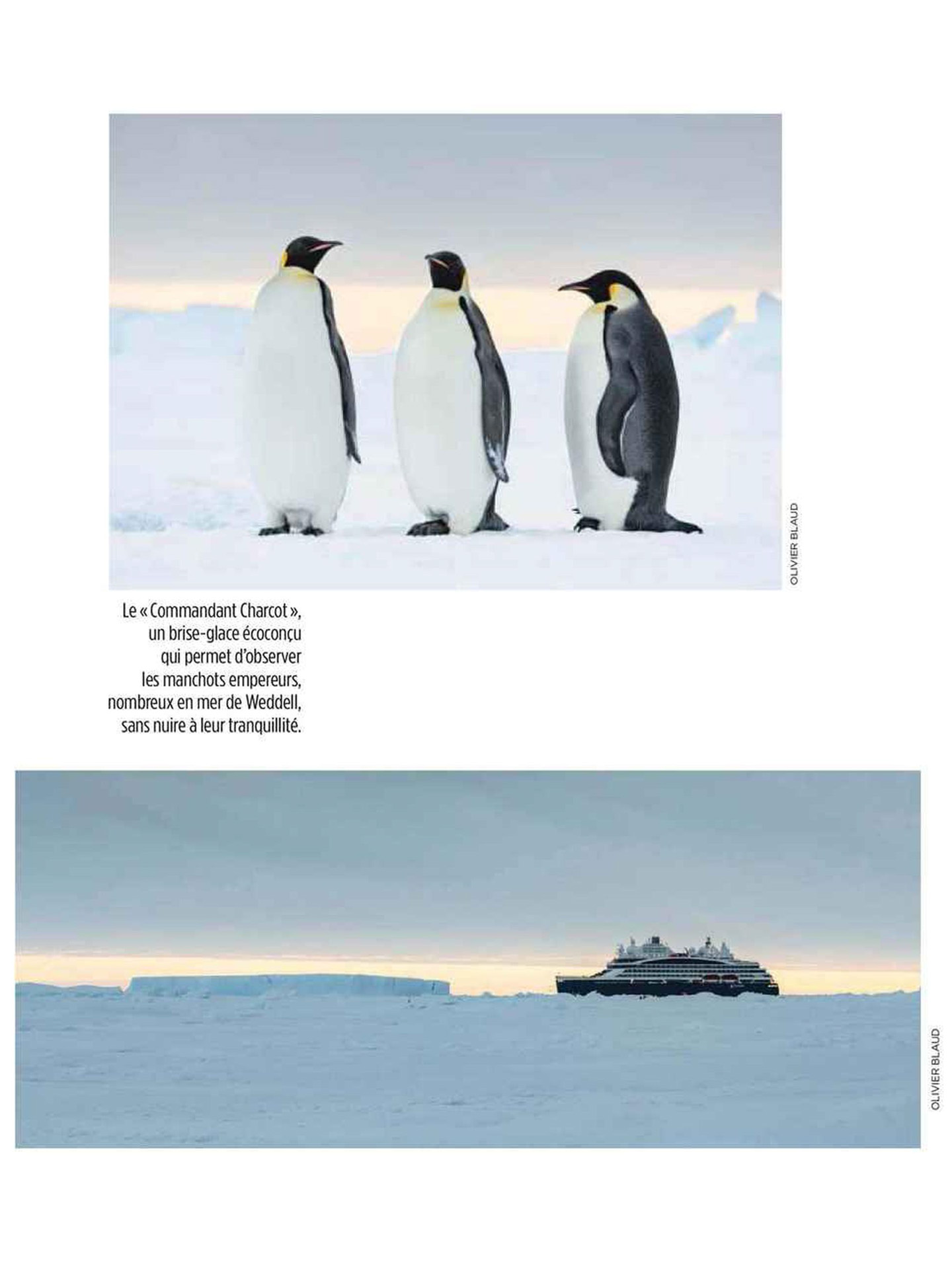 article on commander charcot of ponant in le Point, interior design by jean-philippe nuel, luxury polar expedition ship, cruise, luxury ship, interior design