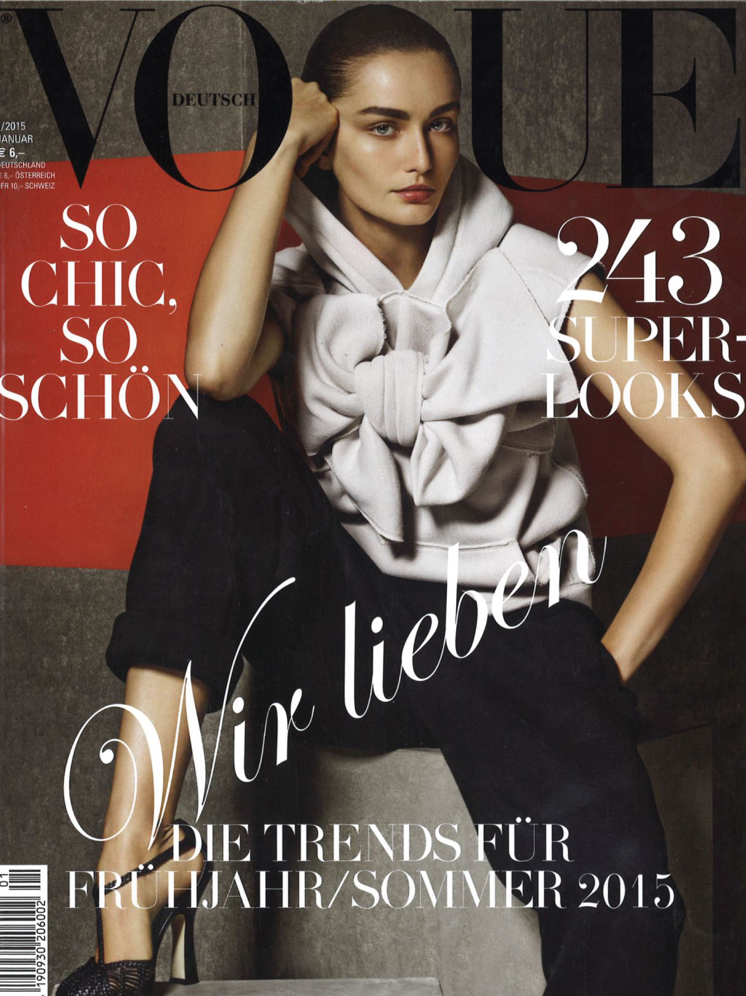 cover of the magazine vogue january 2015
