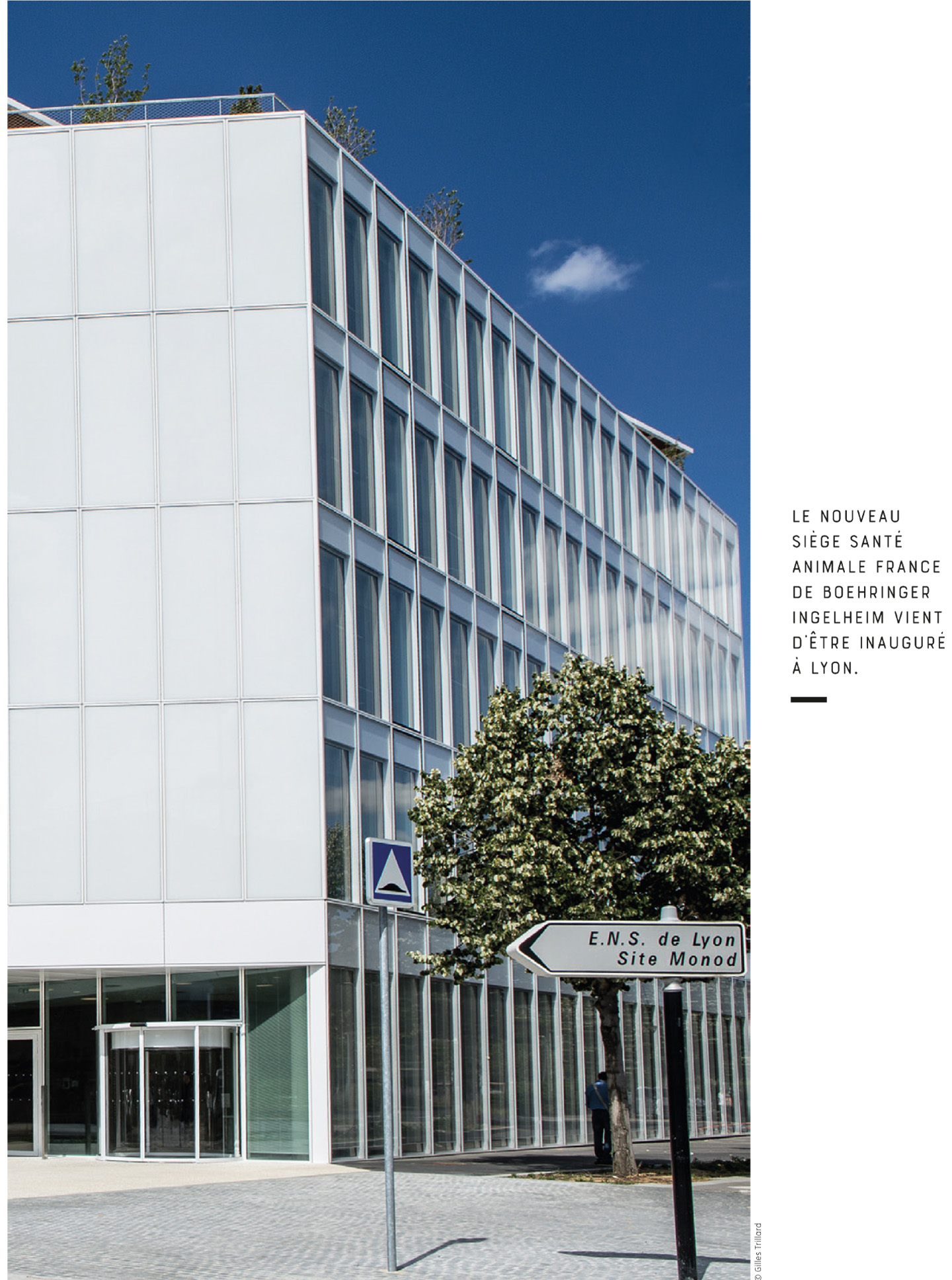 Article on the Boréal building in Lyon designed by the interior design studio Jean-Philippe Nuel, eco-responsible office building, head office, interior design